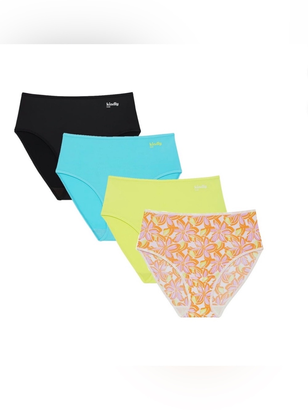 Kindly Yours 4 Pack Women’s So Comfy Micro Brief Underwear